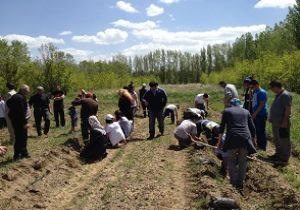 Erzurum'a ağaç dikmeye devam 